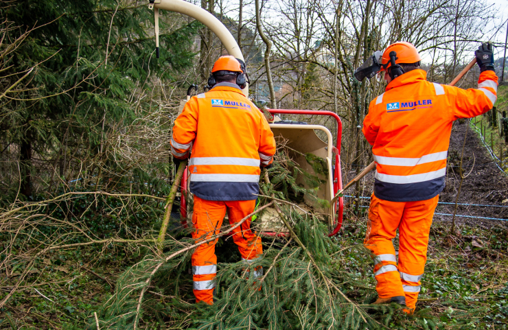 Service forestier et interventions spéciales sur et en dehors de la voie ferrée