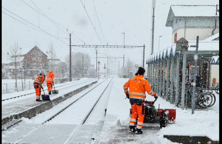 Winterdienst von Grün und Forst